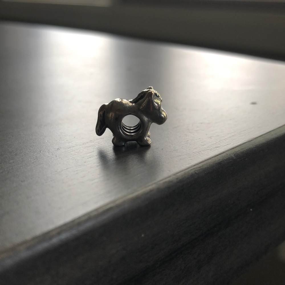 Pandora Charm